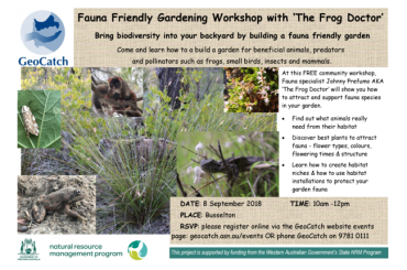 Workshop with ‘The Frog Doctor’