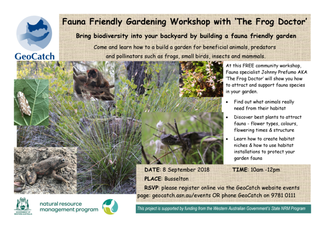 Workshop with ‘The Frog Doctor’